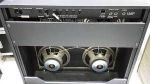 Custom Audio OD-100 4x10 CAE Hoes