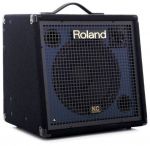 Roland KC-350 H?lle